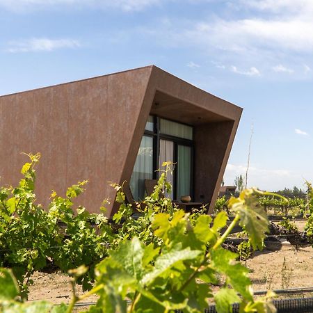 Andeluna Winery Lodge 图蓬加托火山 外观 照片