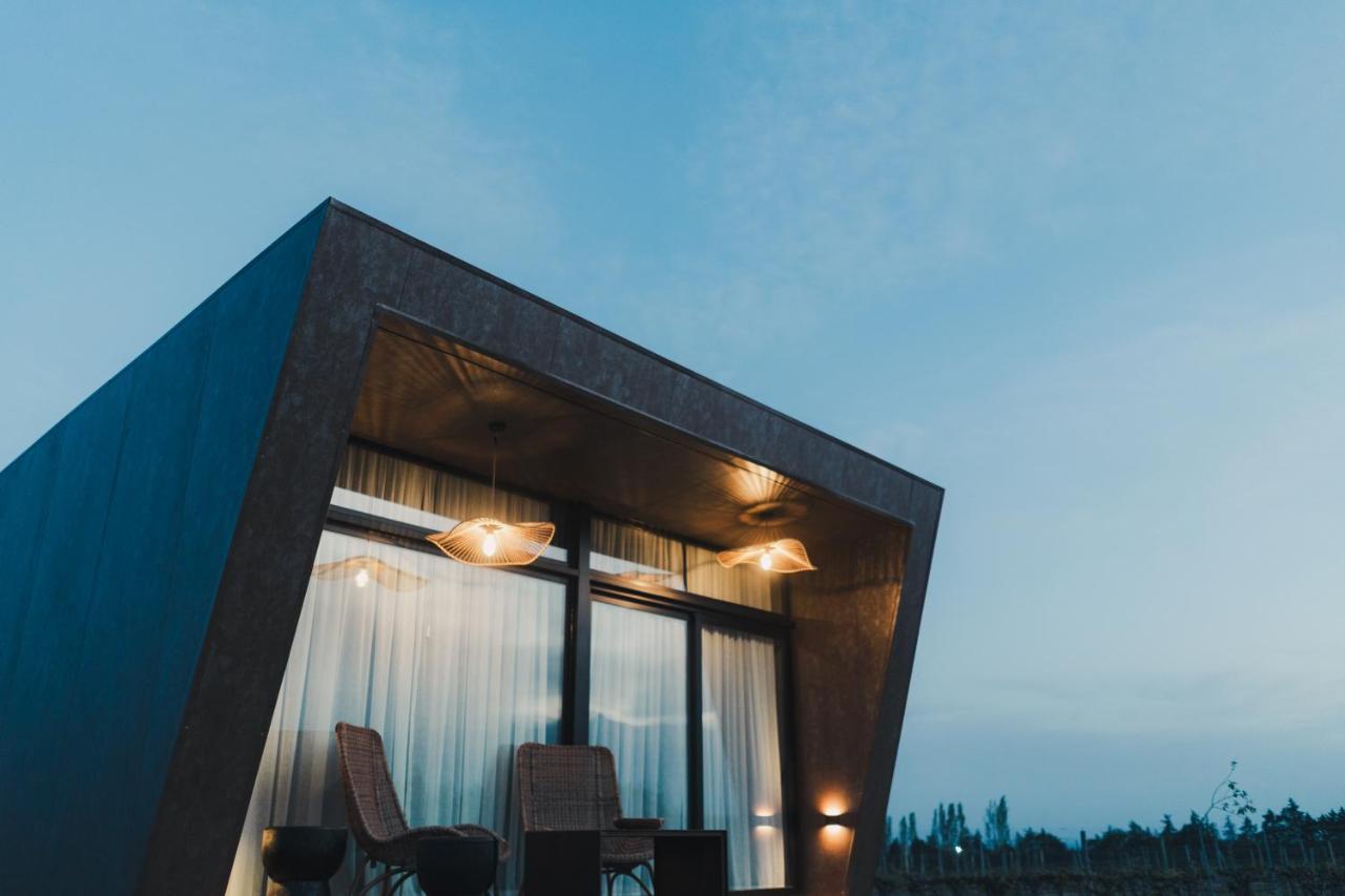 Andeluna Winery Lodge 图蓬加托火山 外观 照片