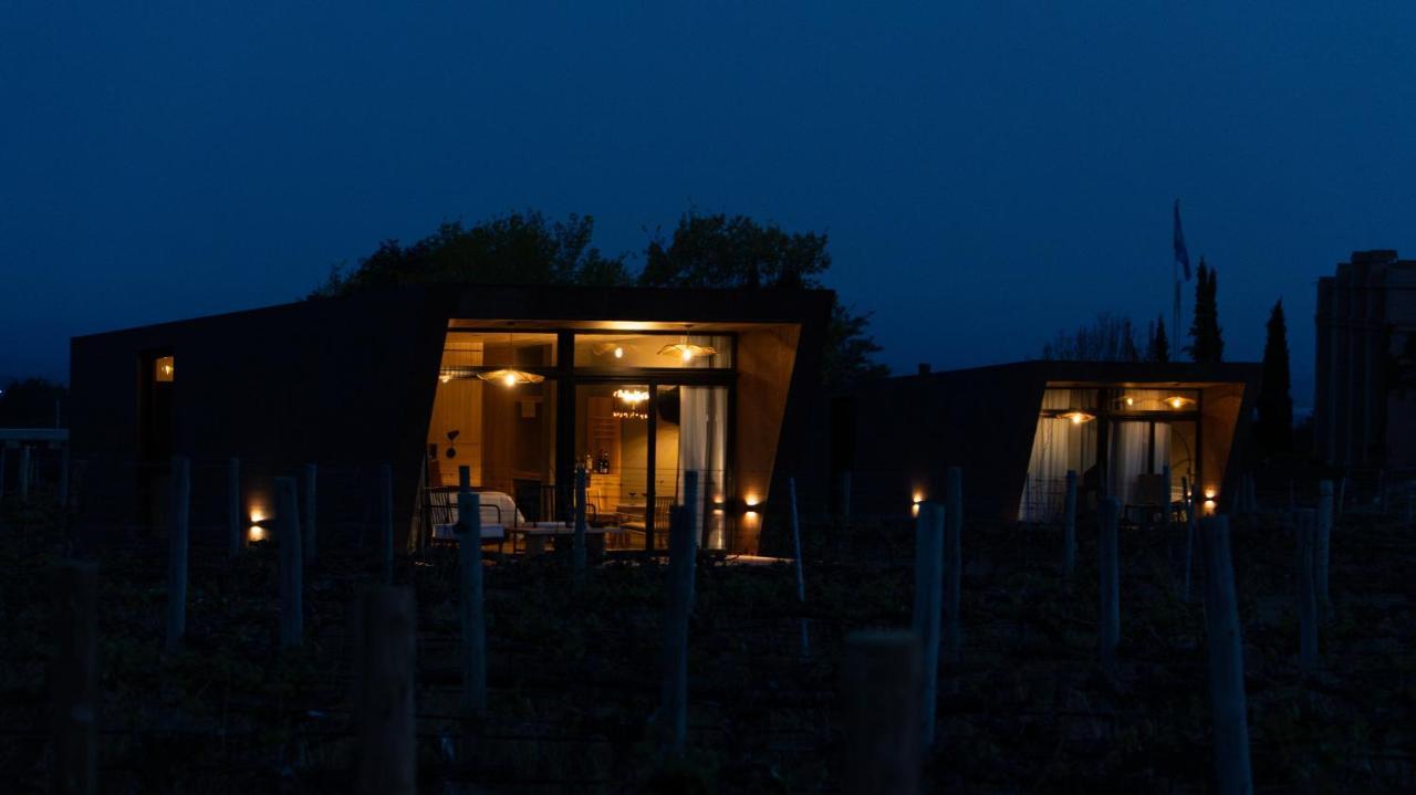 Andeluna Winery Lodge 图蓬加托火山 外观 照片