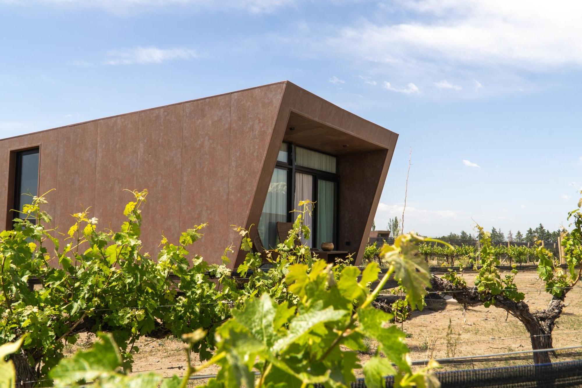 Andeluna Winery Lodge 图蓬加托火山 外观 照片